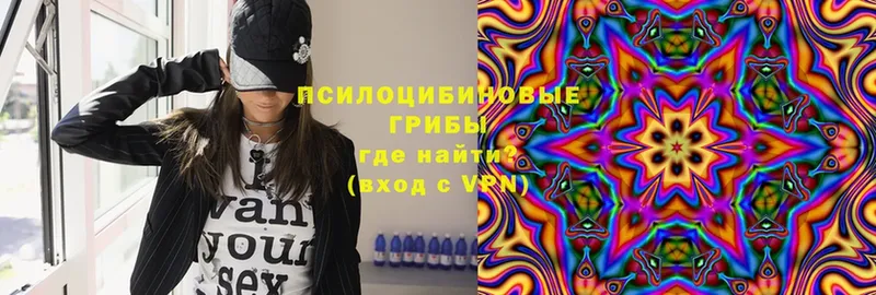 закладки  Петушки  блэк спрут tor  Псилоцибиновые грибы Psilocybine cubensis 